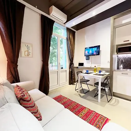Borrell Apartment *